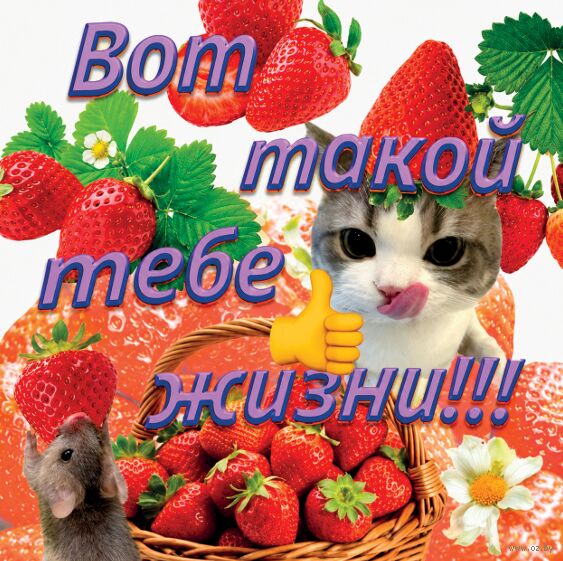 Открытка "Вот такой тебе"