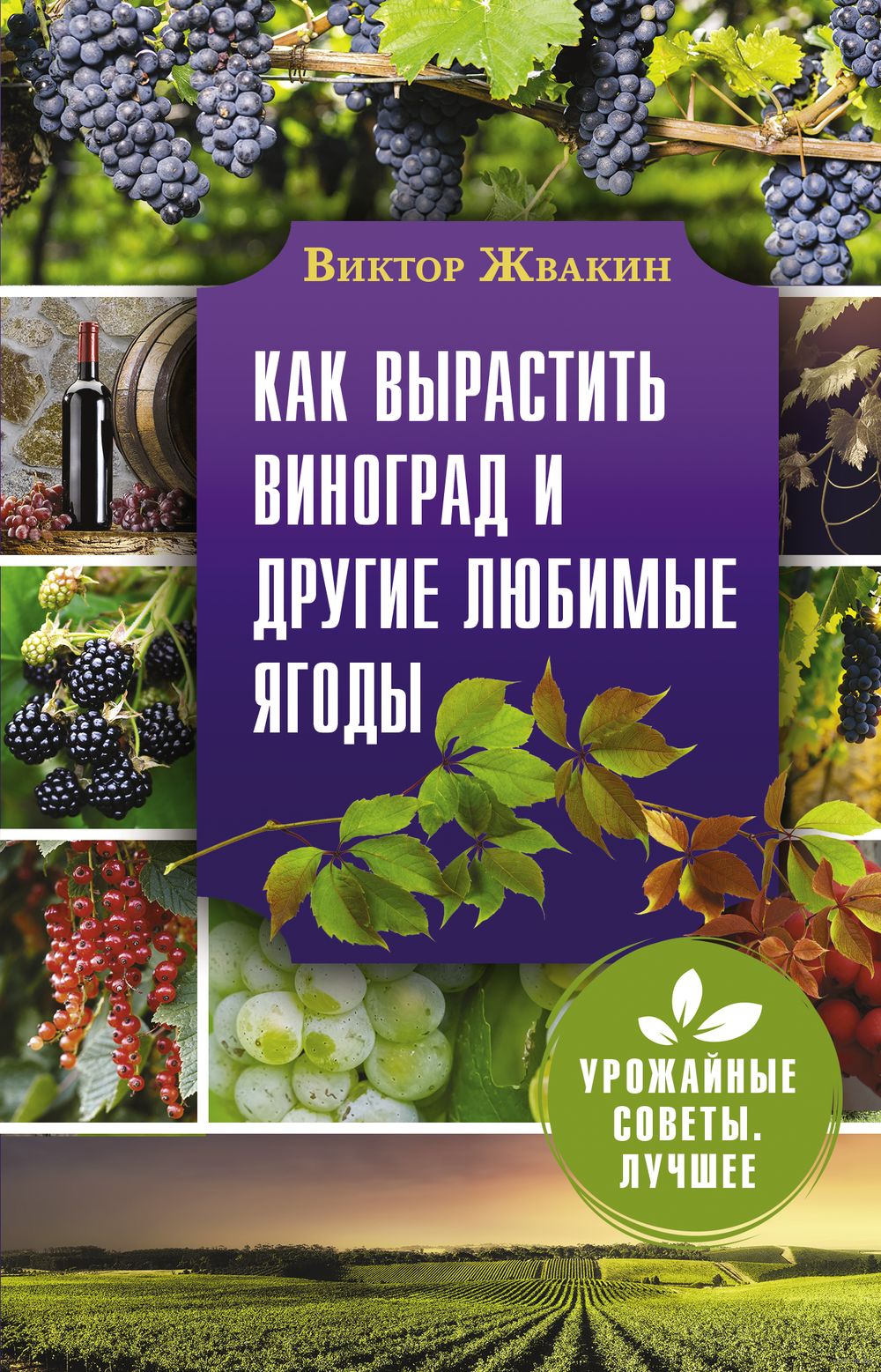 Как вырастить виноград и другие любимые ягоды. Простые и понятные  инструкции для начинающих Виктор Жвакин - купить книгу Как вырастить  виноград и другие любимые ягоды. Простые и понятные инструкции для  начинающих в