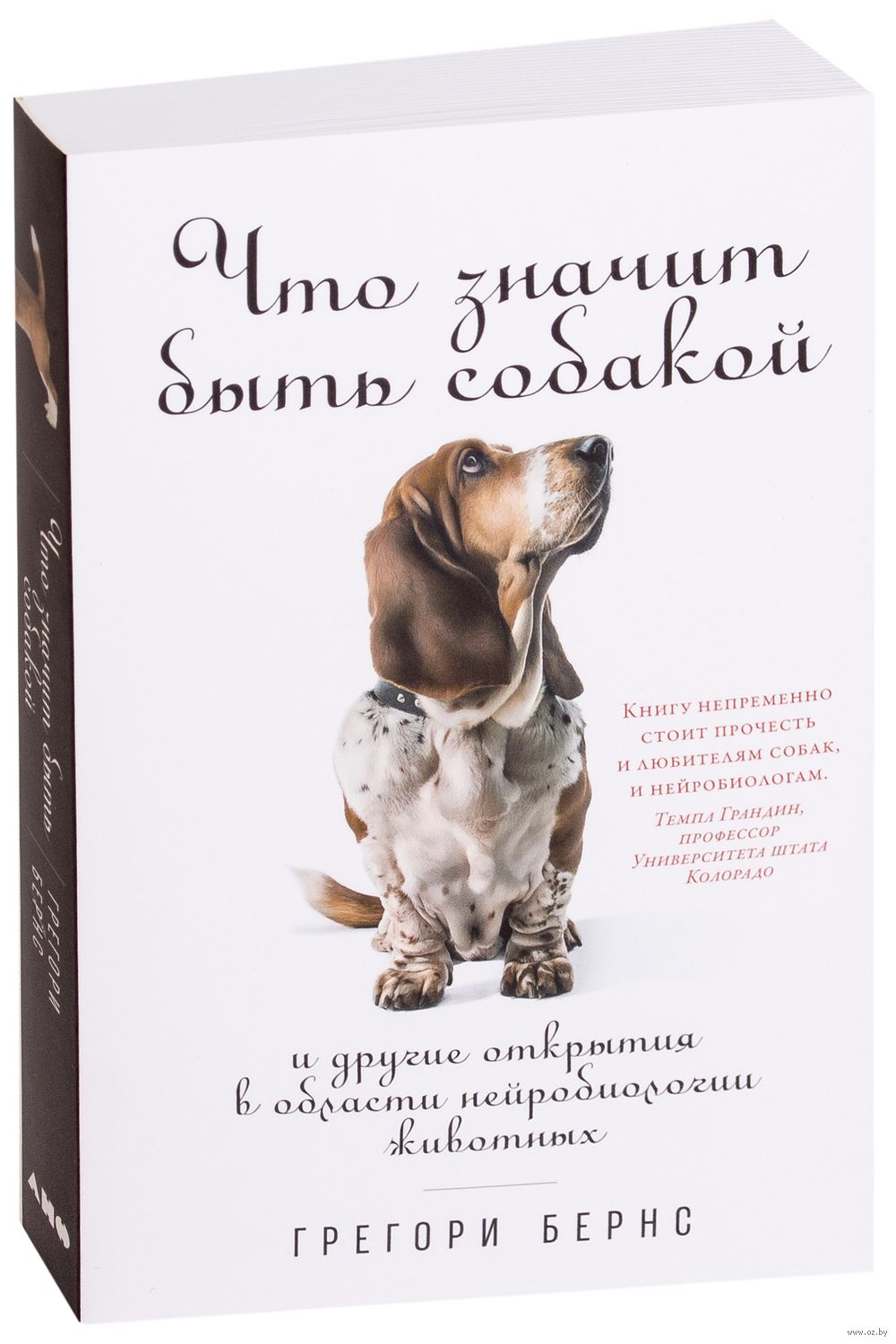 Что значит быть собакой. И другие открытия в области нейробиологии животных