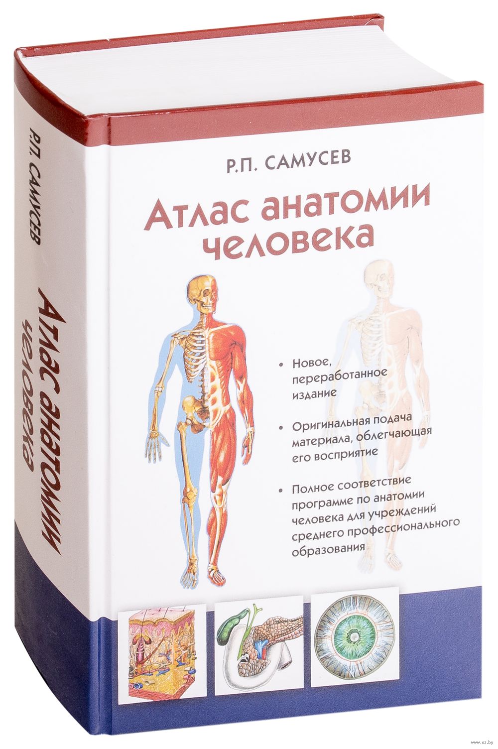 Самусев сентябрев анатомия и физиология. Анатомический атлас Самусев. Большой атлас Самусев. Атлас анатомии и физиологии человека Самусев. Анатомия человека книга Самусев.