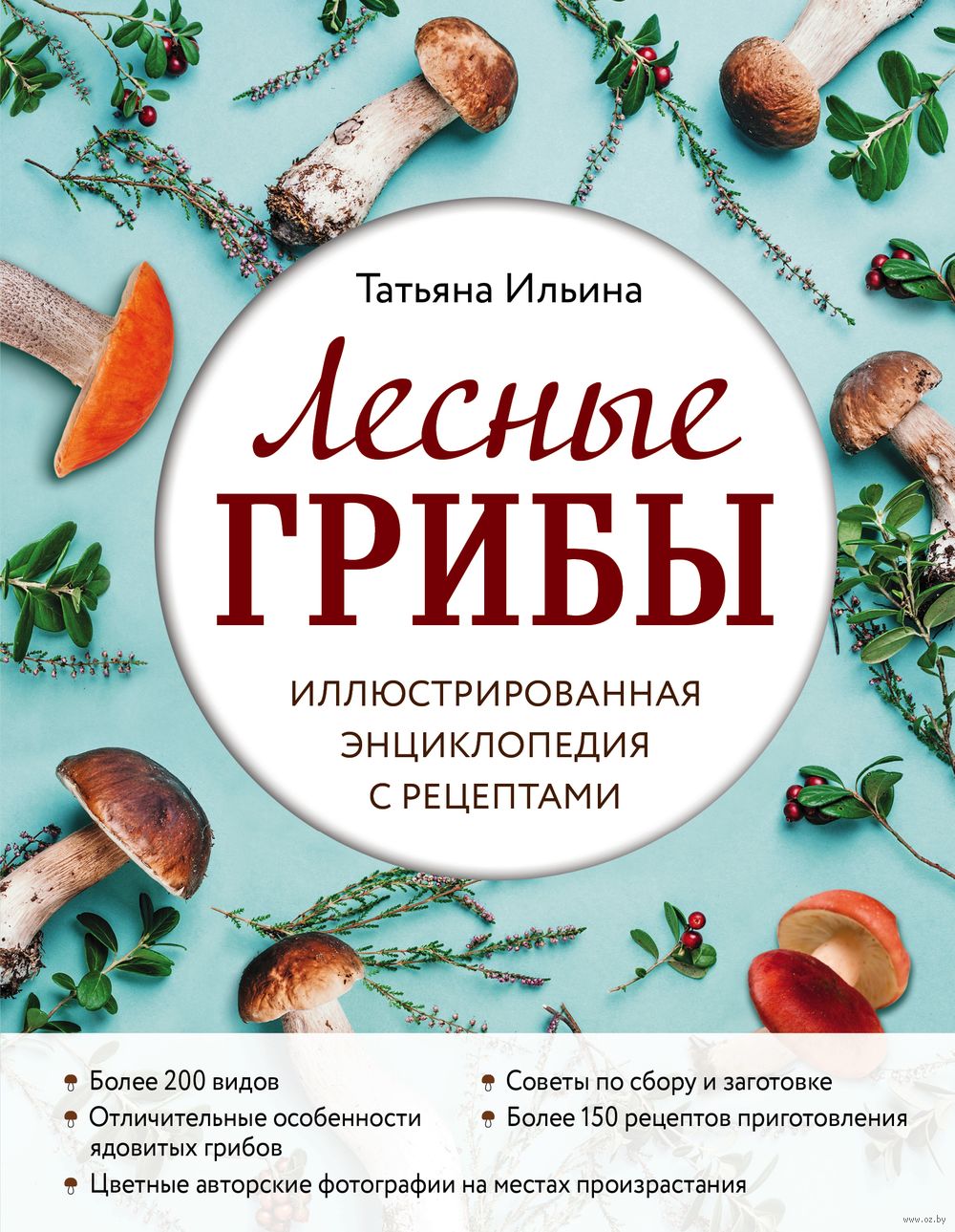 Лесные грибы. Иллюстрированная энциклопедия с рецептами Татьяна Ильина -  купить книгу Лесные грибы. Иллюстрированная энциклопедия с рецептами в  Минске — Издательство Эксмо на OZ.by