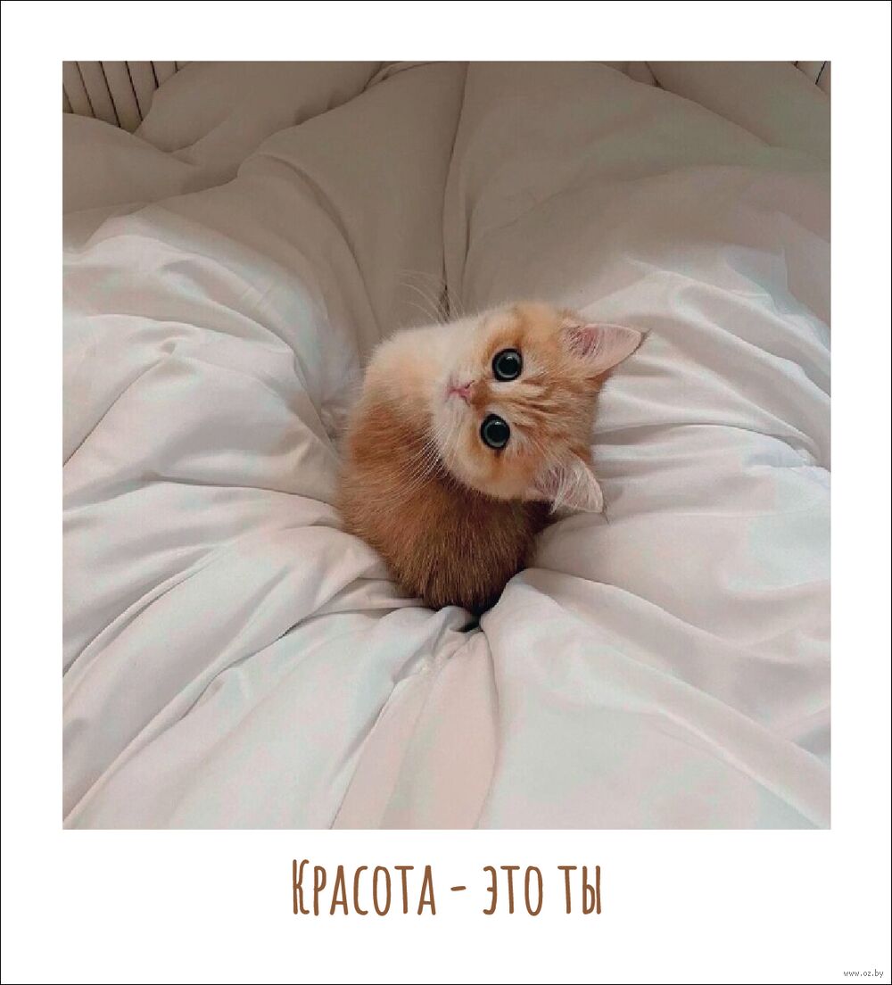 Открытка "Красота – это ты"