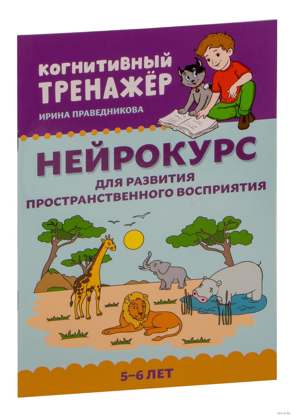 Нейрокурс для развития пространственного восприятия. 5-6 лет Ирина  Праведникова - купить книгу Нейрокурс для развития пространственного  восприятия. 5-6 лет в Минске — Издательство Феникс на OZ.by