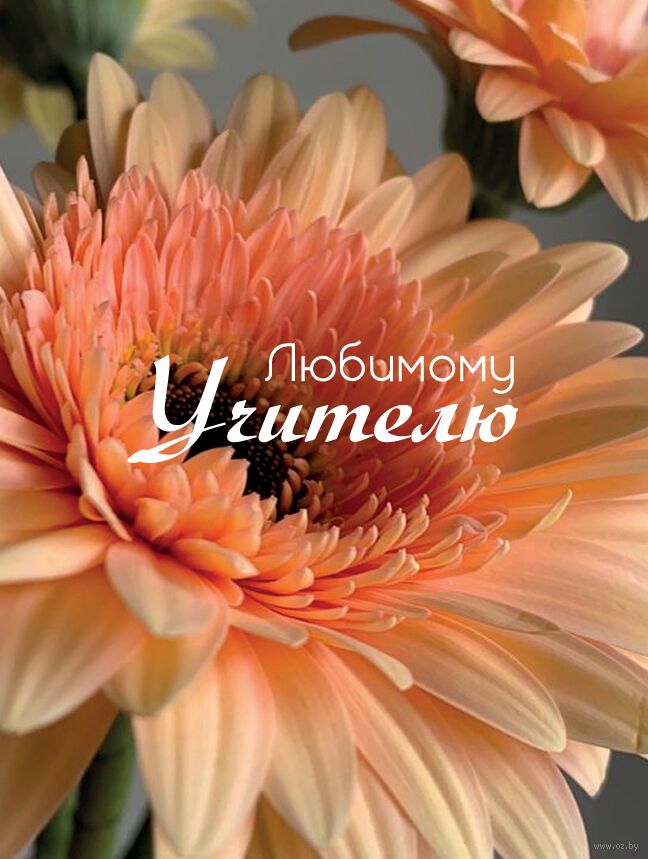 Открытка "Любимому учителю"