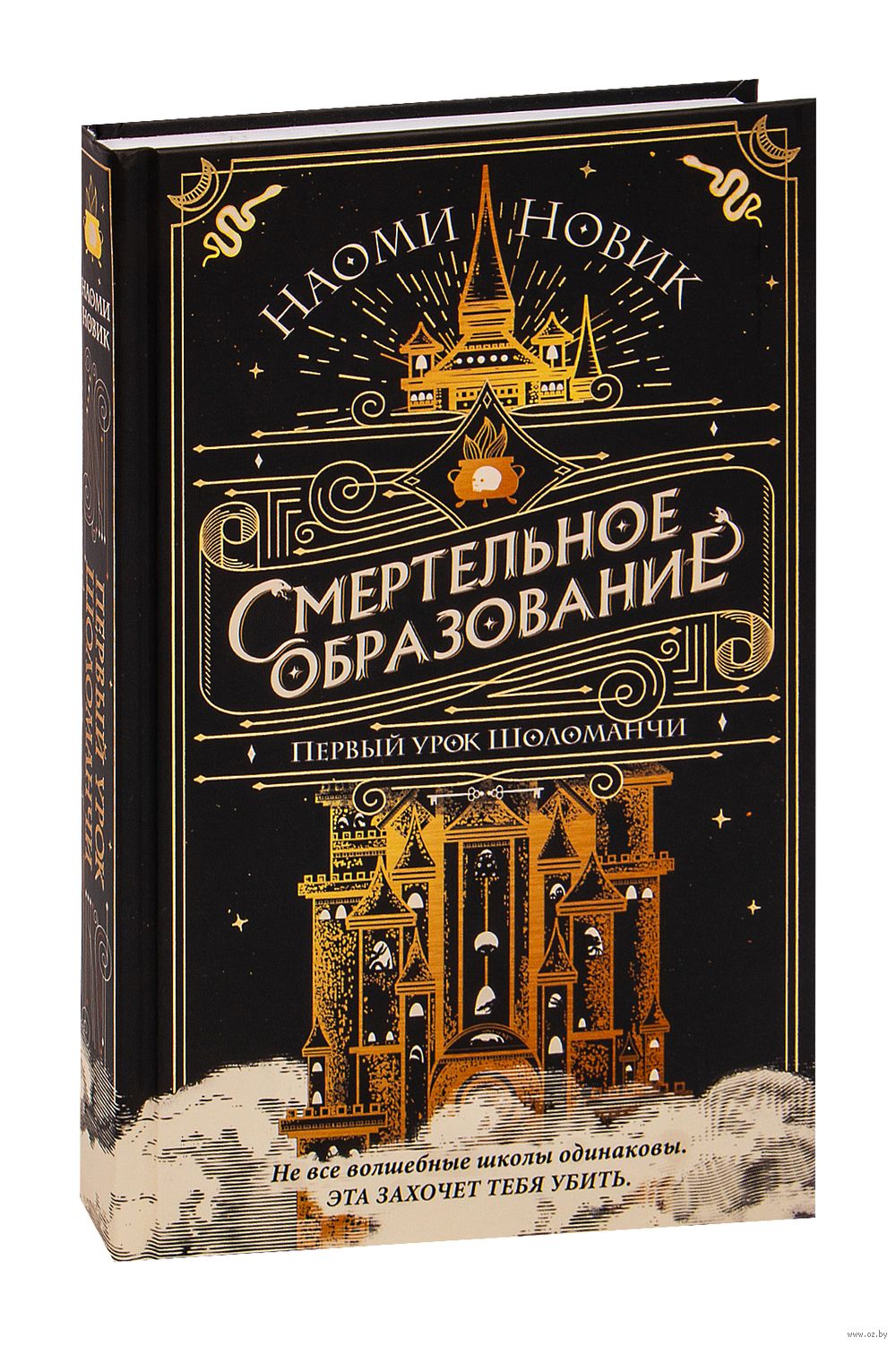 Первый урок Шоломанчи