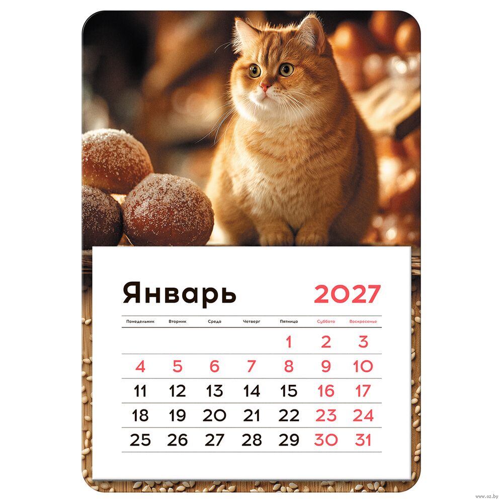 Календарь на магните на 2027 год "Кот" (13х18 см)