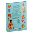 Анатомия человека. Популярный атлас. Самые подробные анатомические изображения — фото, картинка — 8