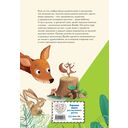 Бемби — фото, картинка — 10