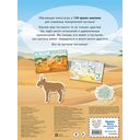 150 наклеек. В пустыне — фото, картинка — 3