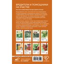 Вредители и помощники на участке. Простые и эффективные методы защиты огорода — фото, картинка — 14