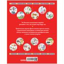 Большая детская энциклопедия — фото, картинка — 7