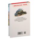 Сын полка — фото, картинка — 1