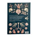 Анатомикум — фото, картинка — 14