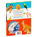 Животные. Энциклопедия для малышей — фото, картинка — 4