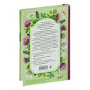 Травник — фото, картинка — 120