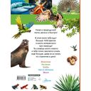 100 тысяч почему на каждый день. Природа — фото, картинка — 1