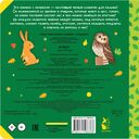 В лесу — фото, картинка — 1