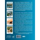 Реки. Уникальная Россия — фото, картинка — 1