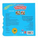 Домашние животные — фото, картинка — 4