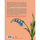 Приключения Незнайки и его друзей — фото, картинка — 7