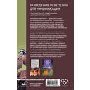 Разведение перепелов для начинающих — фото, картинка — 1