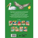 Птицы — фото, картинка — 33