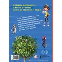 Супер Крылья. Наклейки — фото, картинка — 1