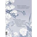 Проклятые души — фото, картинка — 25