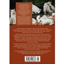 Кошки правят миром — фото, картинка — 25