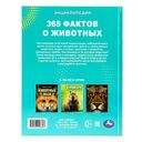 365 фактов о животных — фото, картинка — 4
