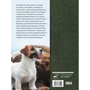 Собаки — фото, картинка — 16