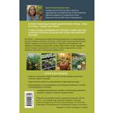 Теплица без ошибок. Все, что нужно знать, чтобы получить ранний и богатый урожай — фото, картинка — 16