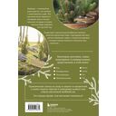 Роскошные хвойные. Виды, посадка, уход — фото, картинка — 11