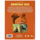 Животные леса — фото, картинка — 5