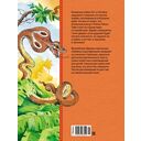 Рикки-Тикки-Тави — фото, картинка — 5