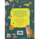 Подарок маленькому школьнику — фото, картинка — 1