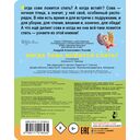 Когда сова ложится спать? — фото, картинка — 2