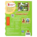 Кто живёт в лесу? — фото, картинка — 4