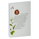 Дзень нараджэння — фото, картинка — 1