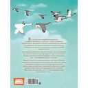 Чудесное путешествие Нильса с дикими гусями — фото, картинка — 6