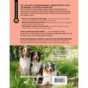 Ключ к характеру вашей собаки — фото, картинка — 1