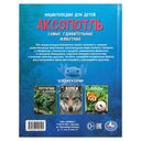 Аксолотль. Самые удивительные животные — фото, картинка — 6