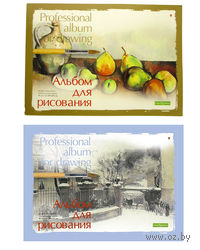 Альбом для рисования "Профессиональный" (А4; 20 листов; арт. 1-40-236)