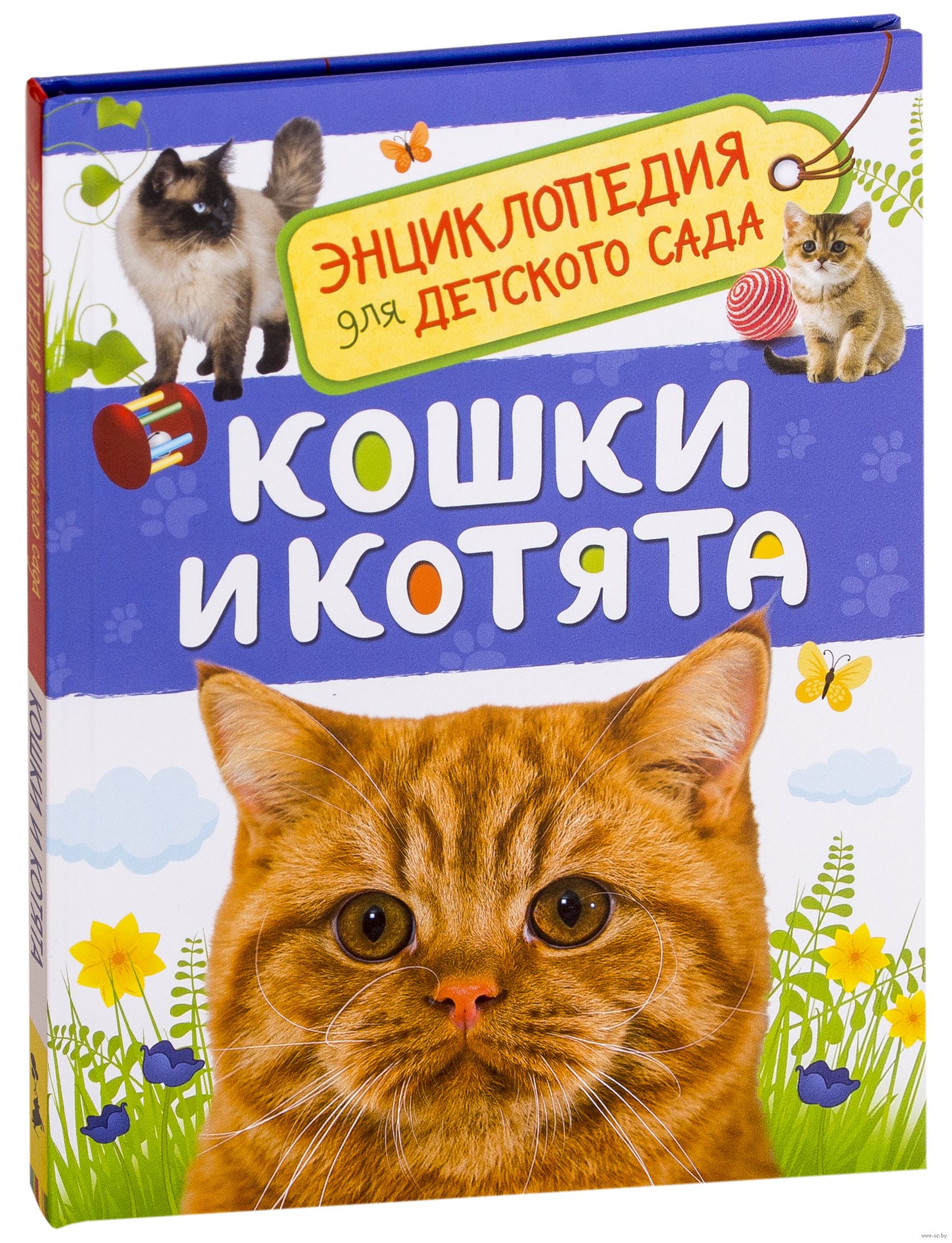 Дошкольникам про кошек. Книги про кошек. Книги про кошек для детей. Кошка с книжкой. Кошки и котята книга.