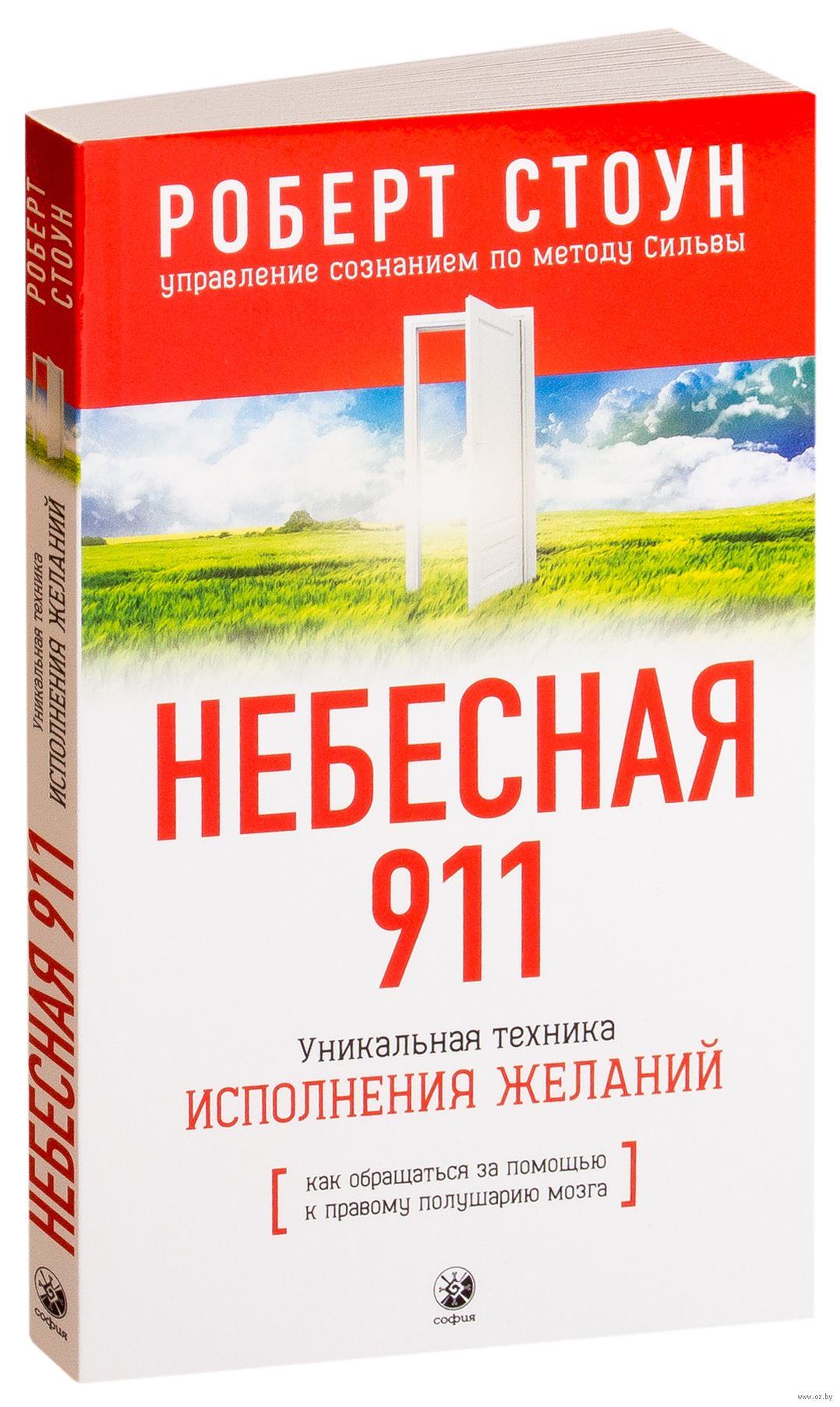 Небесная 911