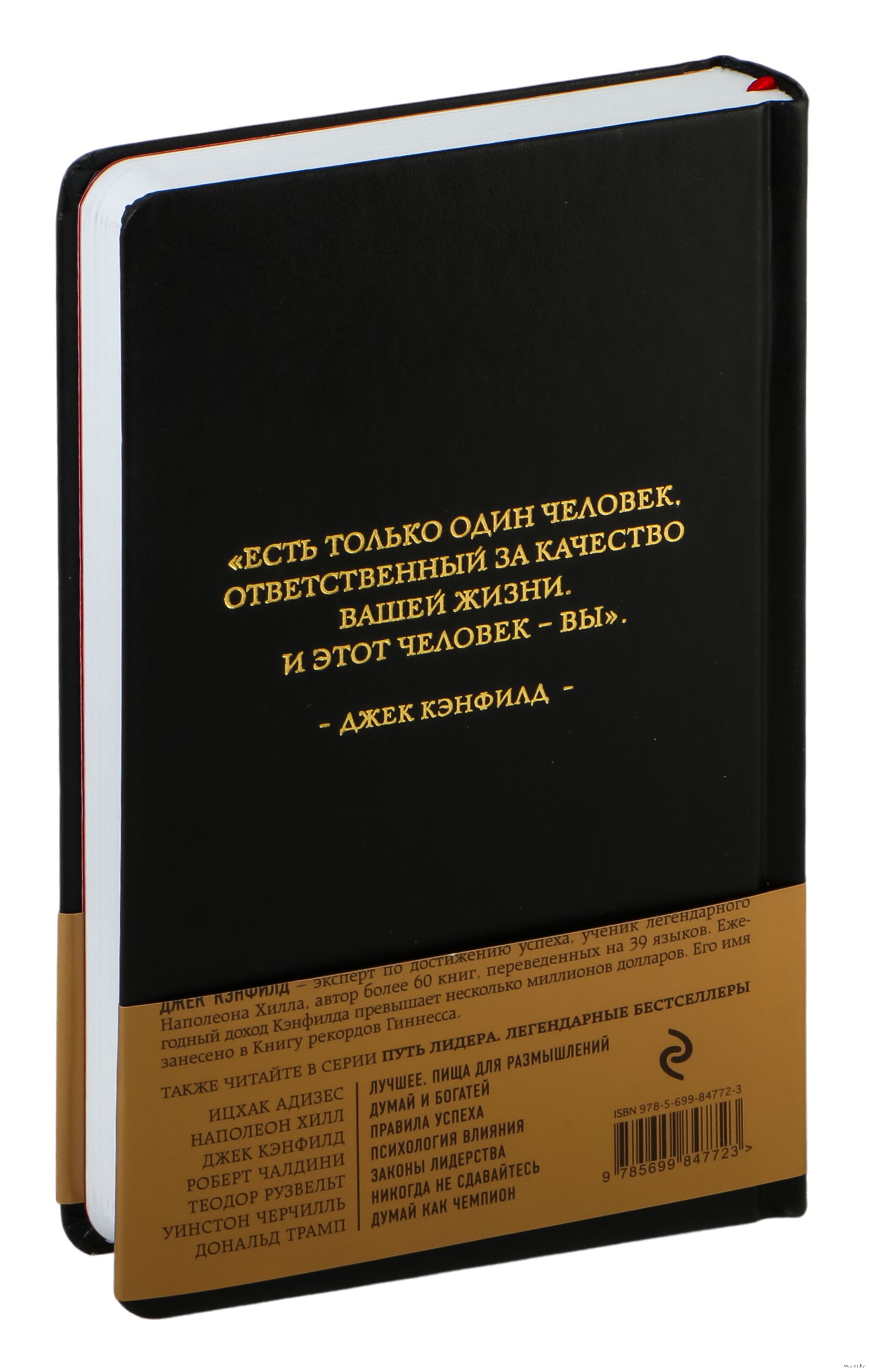 Правила успеха. Принципы успеха Джек Кэнфилд. Джек Кэнфилд «правила успеха». Правила успеха книга. Книга правила успеха Джек Кэнфилд.