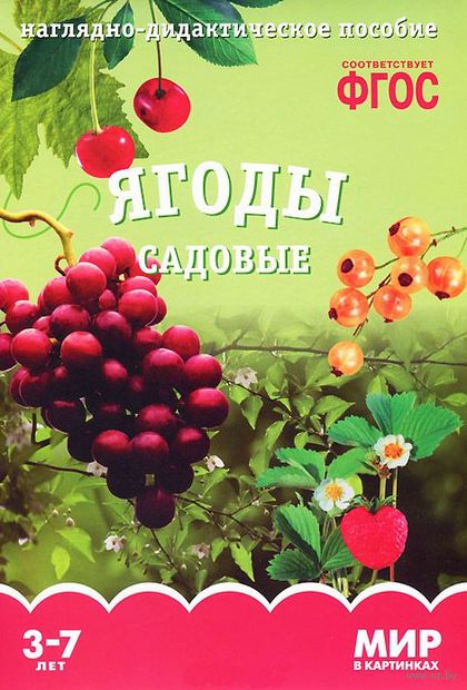 Ягоды садовые. Наглядно-дидактическое пособие. Для детей 3-7 лет Ягоды садовые. Наглядно-дидактическое пособие. Для детей 3-7 лет — фото, картинка