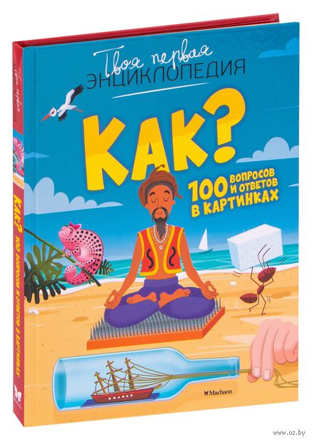 Как? 100 вопросов и ответов в картинках — фото, картинка