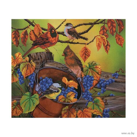 Канва с рисунком для вышивания бисером "Щедрый урожай" (235х260 мм) — фото, картинка