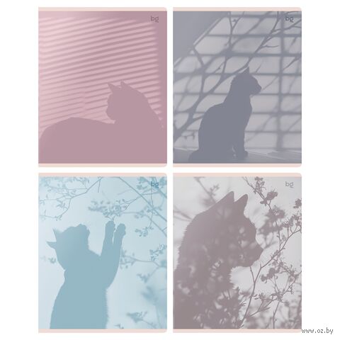 Тетрадь полуобщая в клетку "Тени" (48 листов) — фото, картинка